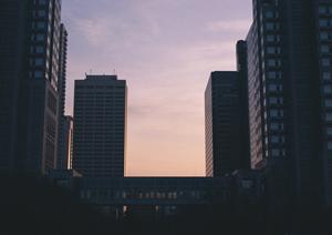 オーガニックハウスのコンセプトと作り